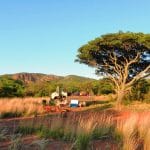 Stargaze Hammock Camp