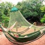 Stargaze Hammock Camp