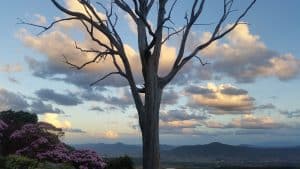 Kings Walden Garden Manor